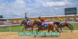 Cá cược đua ngựa tại M8win