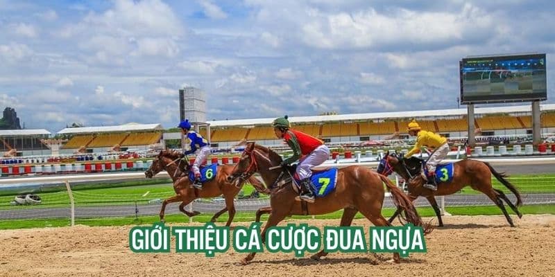 Cá cược đua ngựa M8win: Cập nhật mới nhất luật chơi 2 Cá cược đua ngựa tại M8win