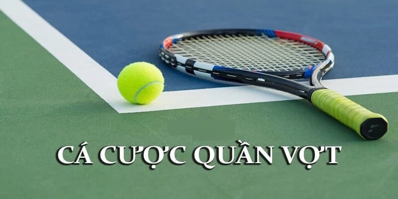 Cá cược quần vợt M8win: Kèo cược đa dạng, luật chơi đơn giản 3 soi kèo quần vợt