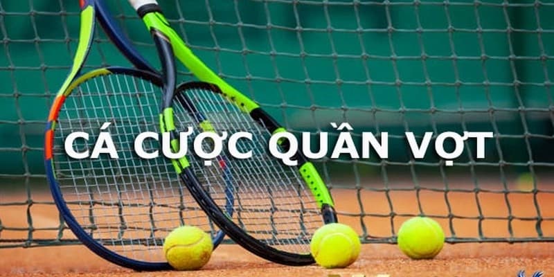 Cá cược quần vợt M8win: Kèo cược đa dạng, luật chơi đơn giản 4 cược quần vợt